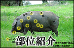 イベリコ豚部位説明