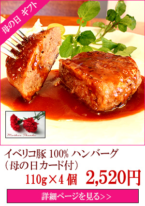 ��������ե� ���٥ꥳ��100%�ϥ�С���