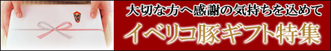 ���٥ꥳ�ڥ��ե��ý�
