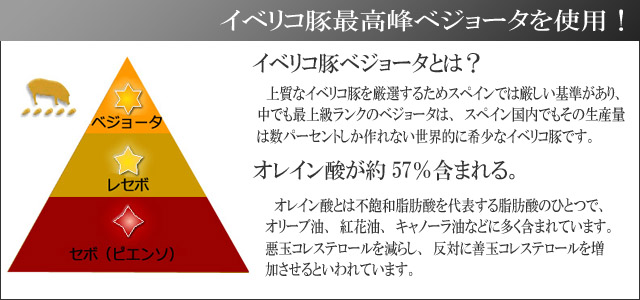 イベリコ豚ベジョータを使用