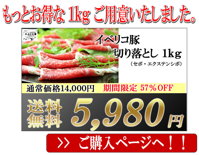 【送料無料】イベリコ豚ロース・肩ロース切り落とし