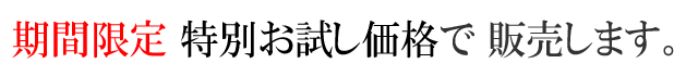 お試し価格