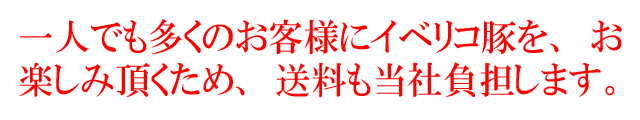 送料無料