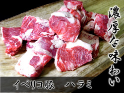 ���٥ꥳ�ڥ٥��硼���ϥ�߾���