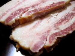 ���٥ꥳ�ڥ٥��硼���١�����