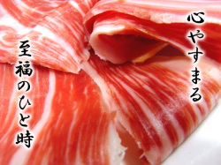 �ϥ�󥤥٥ꥳ�٥��硼�����饤��