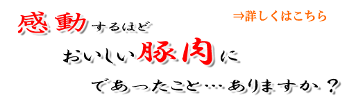 感動する豚肉