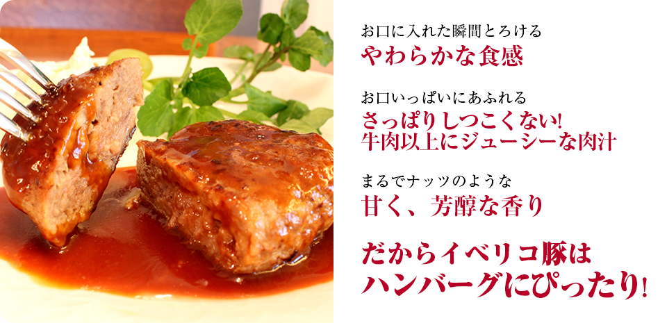 お口に入れた瞬間とろけるやわらかな食感 お口いっぱいにあふれるさっぱりしつこくない!牛肉以上にジューシーな肉汁 まるでナッツのような甘く、芳醇な香り だからイベリコ豚はハンバーグにぴったり！