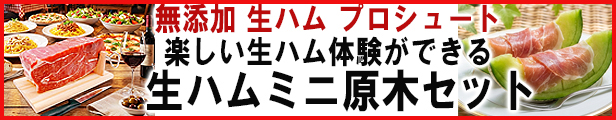 生ハム原木ミニプロシュート
