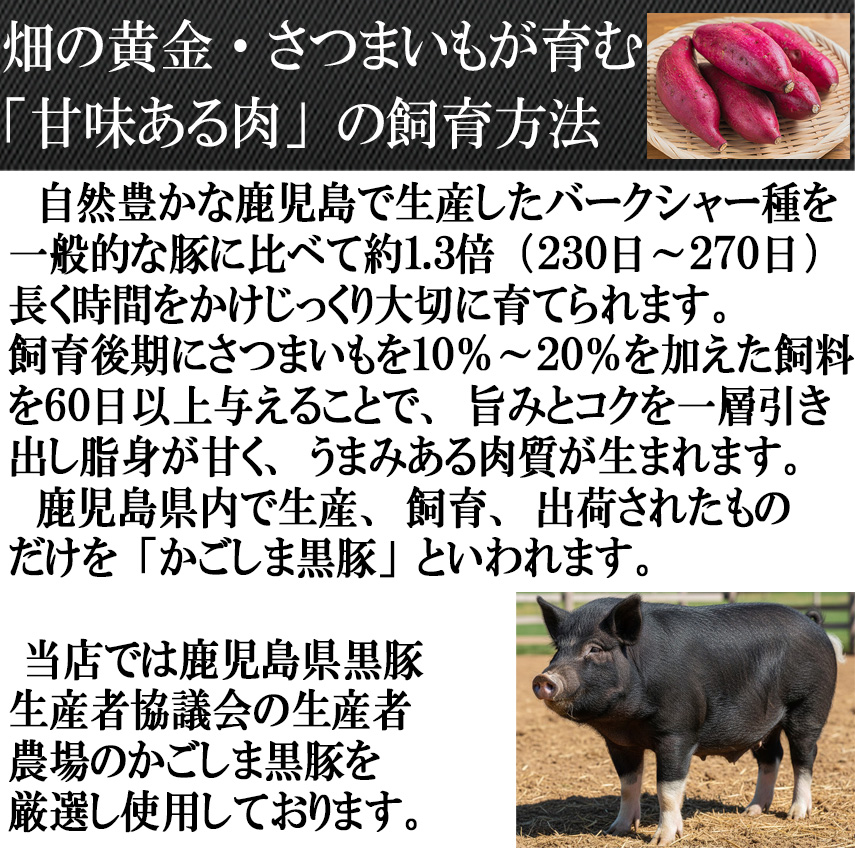鹿児島黒豚飼育方法