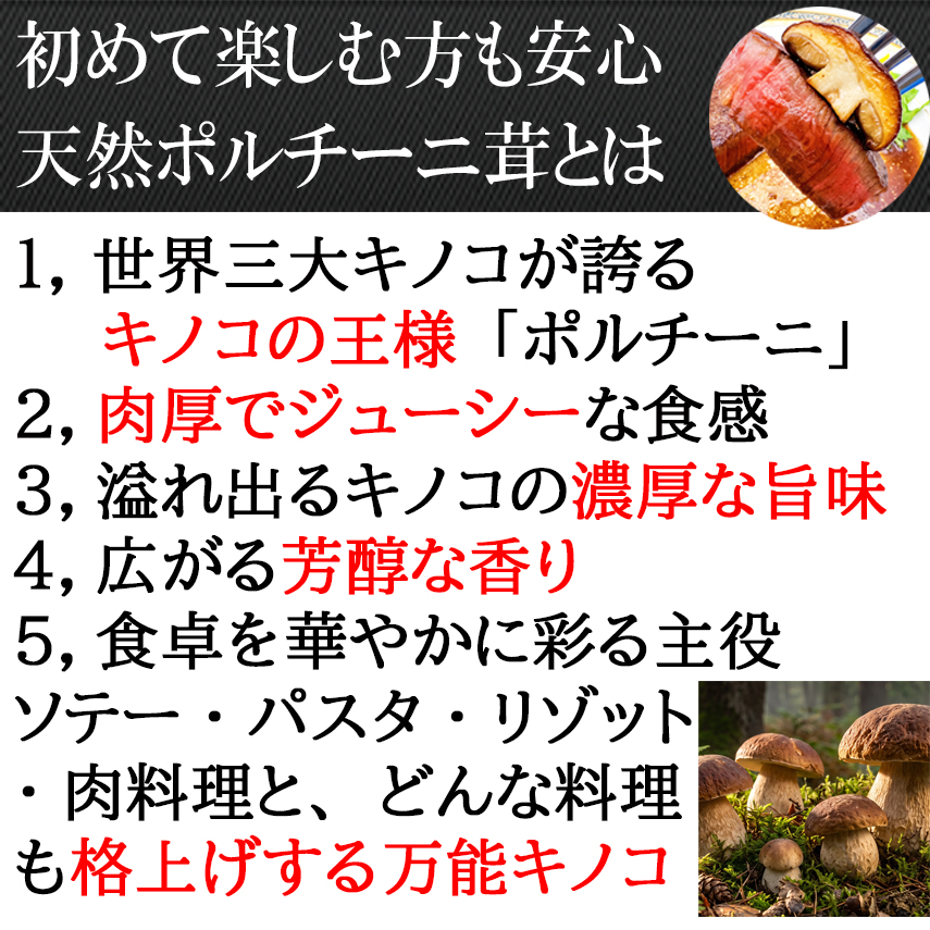 肉厚ポルチーニ茸も美味しさの秘密