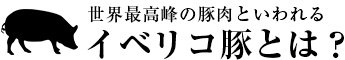 世界最高峰の豚肉といわれるイベリコ豚とは？