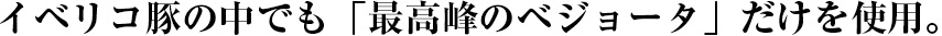 イベリコ豚の中でも「最高峰のベジョータ」だけを使用。