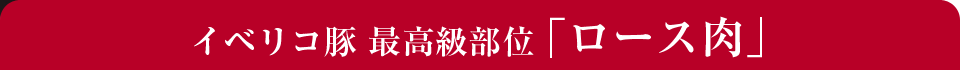 イベリコ豚 最高級部位「ロース肉」